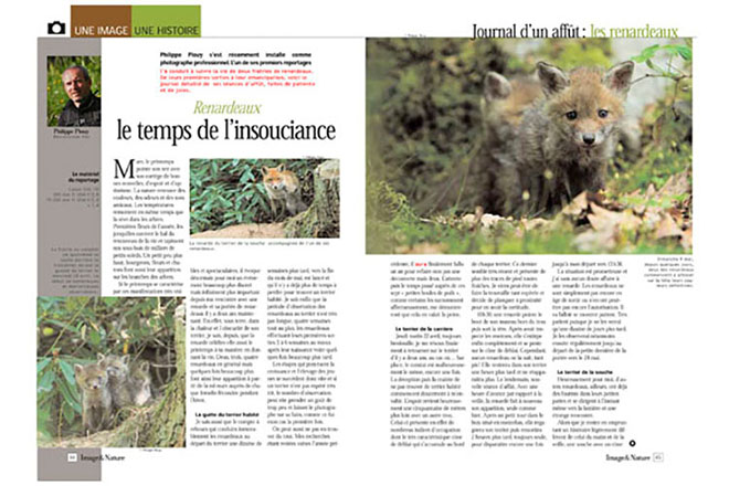 Renardeaux ou le temps de l'insouciance Magazine de photographies Image&Nature