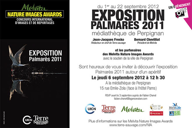 Exposition Palmarès 2011 Nature Images Awards Exposition Photos Le renard et les routiers