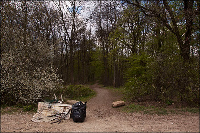 J'agis pour la Nature Nettoyage des chemins du bois de Coye